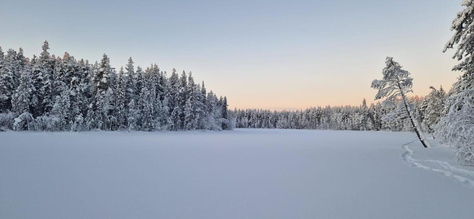 Готель Lapland Old School Муоніо Екстер'єр фото