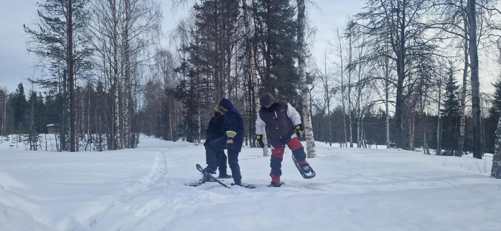 Готель Lapland Old School Муоніо Екстер'єр фото